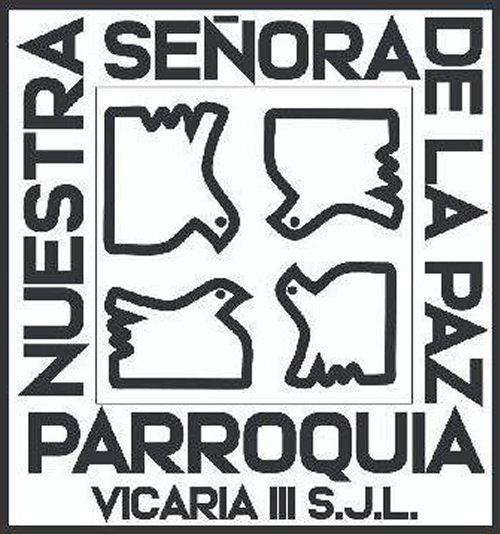 Logo NSP