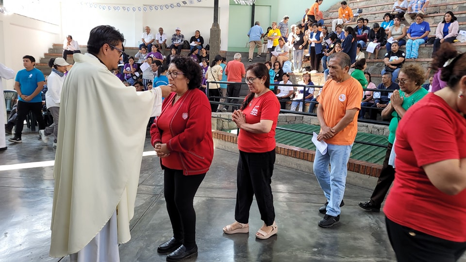 Imagen secundaria 5